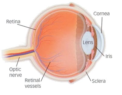 Diabetic Retinopathy « Athens Retina Center